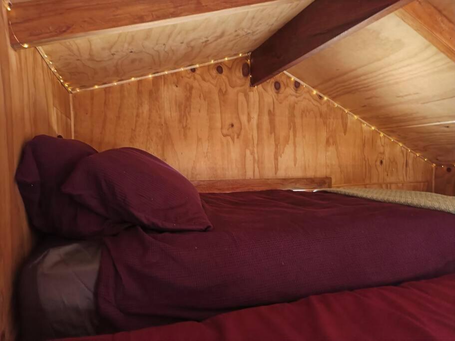 Gumboot Paradise Eco Stay باريتاون المظهر الخارجي الصورة