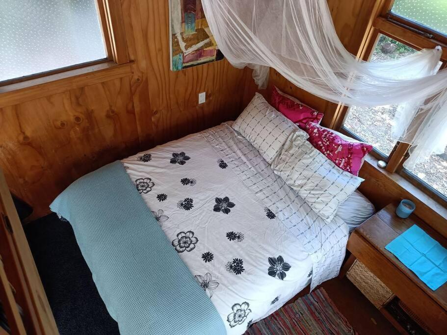 Gumboot Paradise Eco Stay باريتاون المظهر الخارجي الصورة