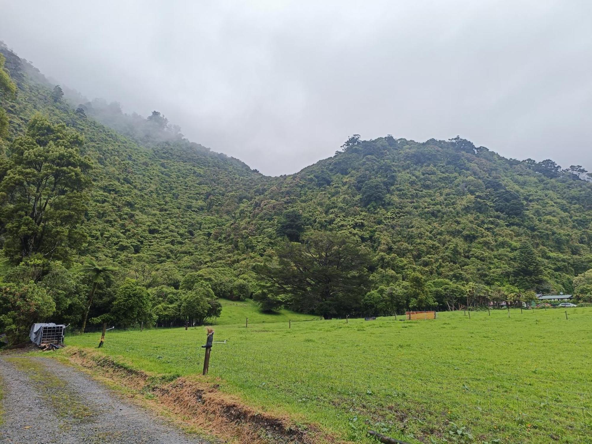 Gumboot Paradise Eco Stay باريتاون المظهر الخارجي الصورة